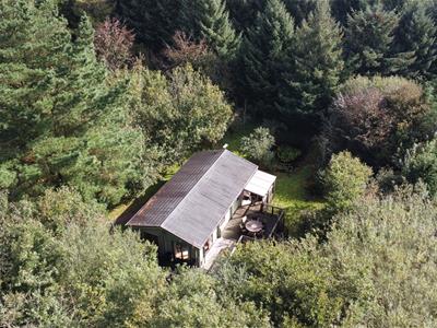 Picture 27